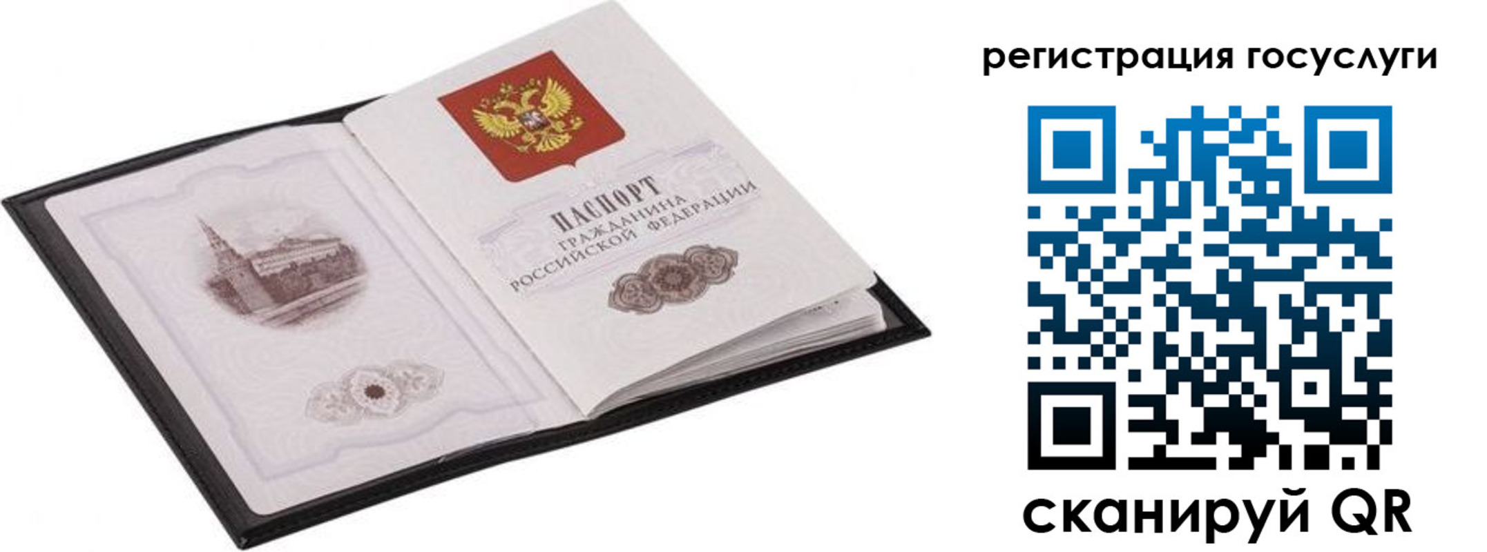 временная регистрация поиск в Амурской области